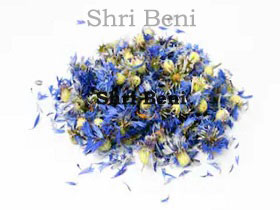 Blue Corn Flower